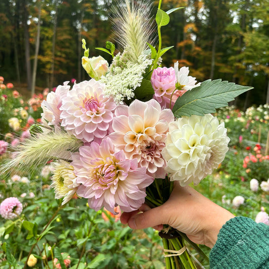 5-Week Bouquet Subscription