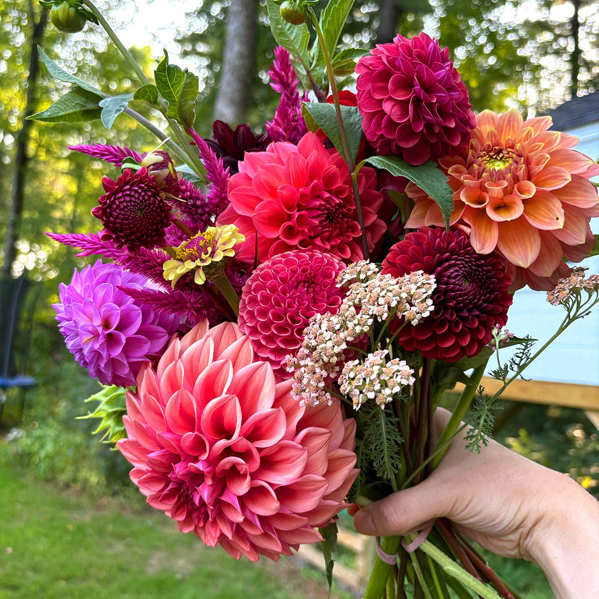 4-Week Bouquet Subscription